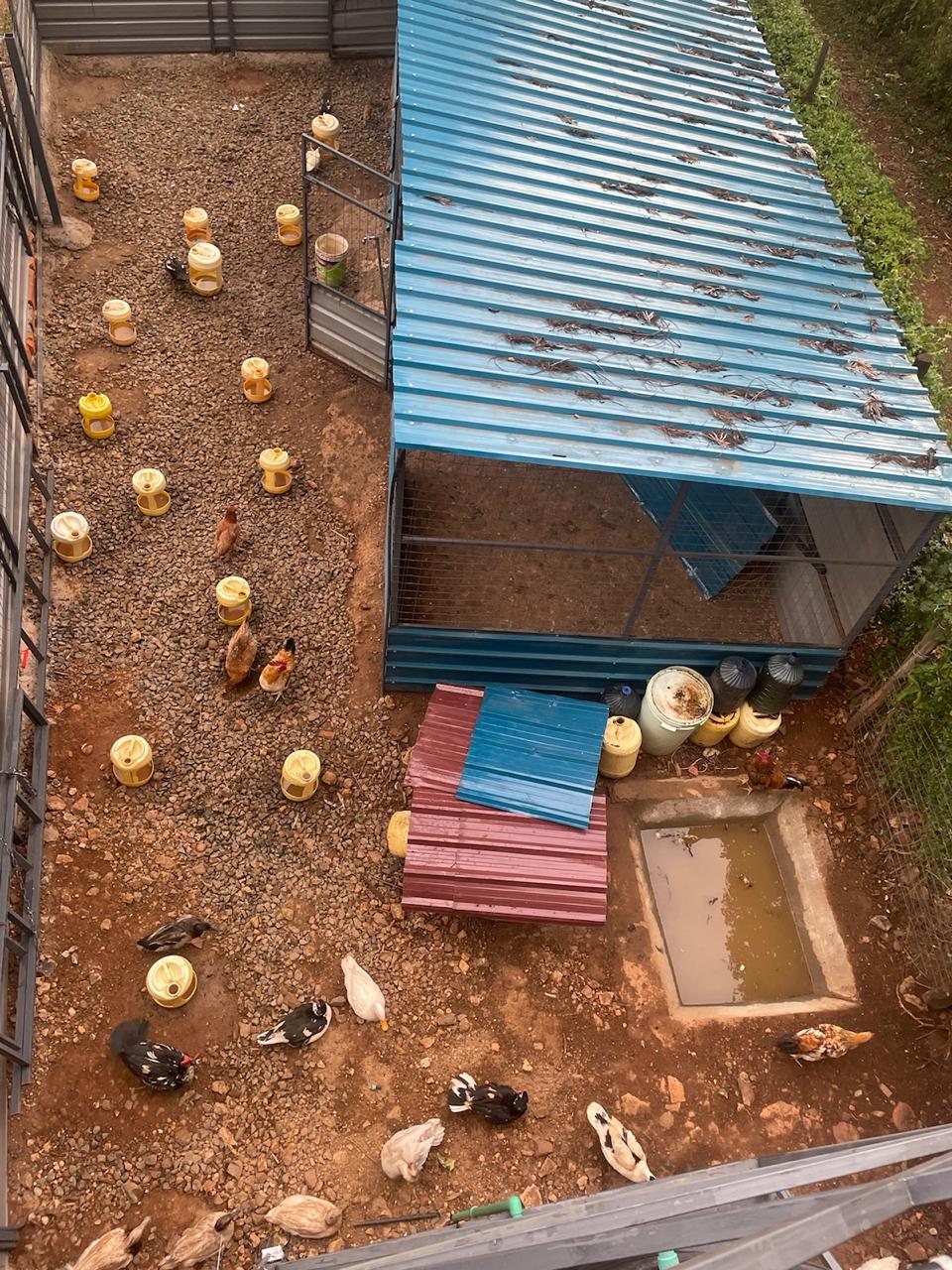 Farm operations